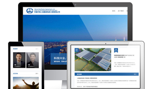 中铁网站建设服务项目